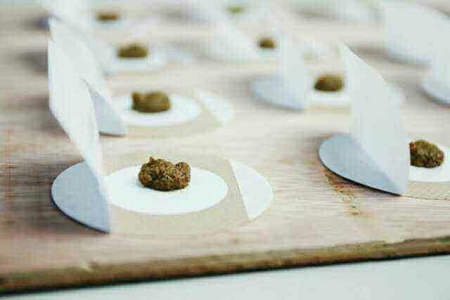 2、介紹三伏貼敷