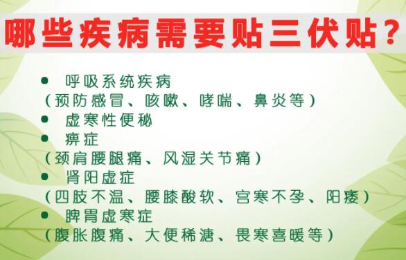 2、什么是三伏貼？三伏貼的作用？