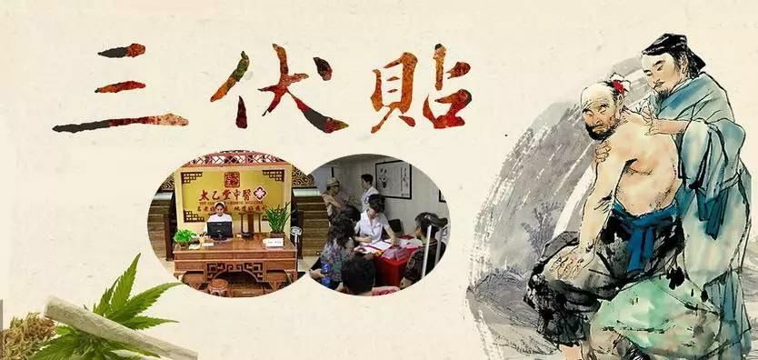 2、什么是三伏貼？三伏貼的作用？